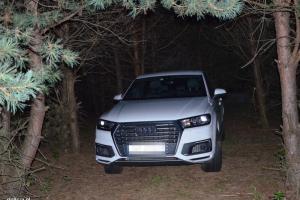 Audi ukryte w lesie 